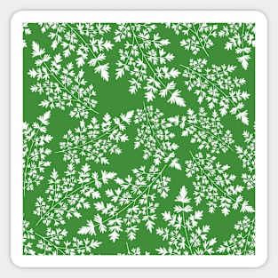 Hedgerow ferns in white on green Sticker